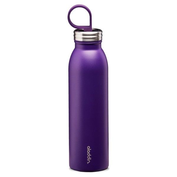 Aladdin 0.55L Chilled Thermavac ™ Stainless Steel - Steel Water Thermos