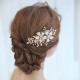 Wedding Accessories Ladies Unique Alloy / Imitation Pearls Venetian Pearl With Combs