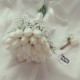Wedding Bouquet Cipso White Tulip Bridal Bouquet